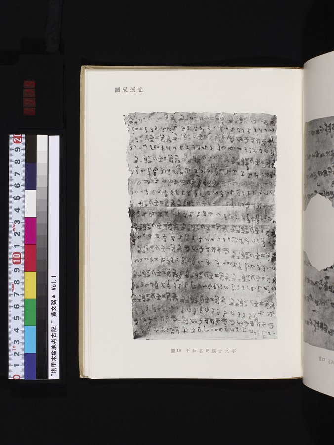塔里木盆地考古記 : vol.1 / 315 ページ（カラー画像）