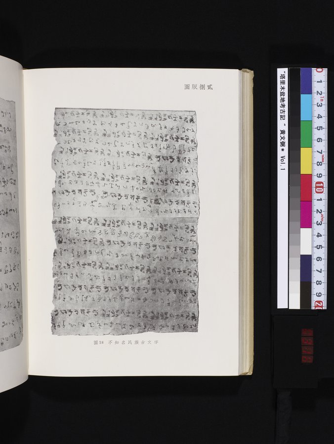 塔里木盆地考古記 : vol.1 / 316 ページ（カラー画像）