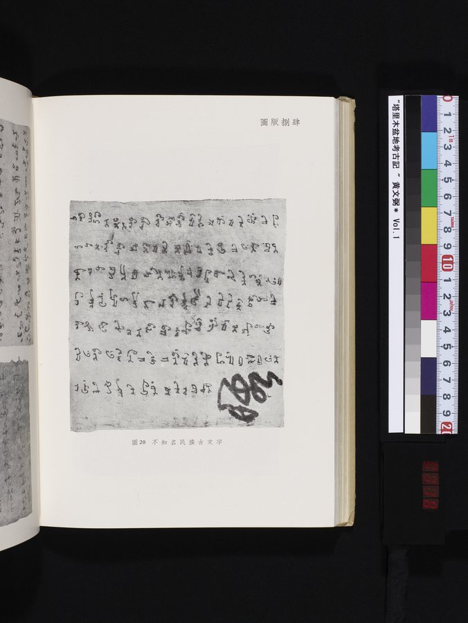 塔里木盆地考古記 : vol.1 / Page 318 (Color Image)