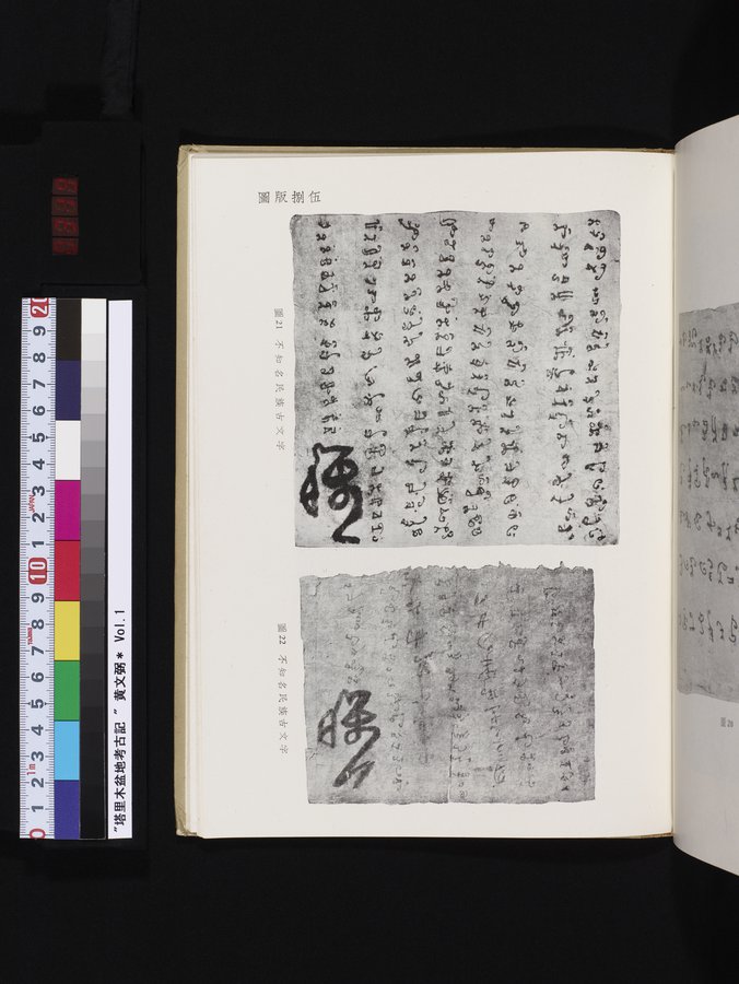塔里木盆地考古記 : vol.1 / Page 319 (Color Image)