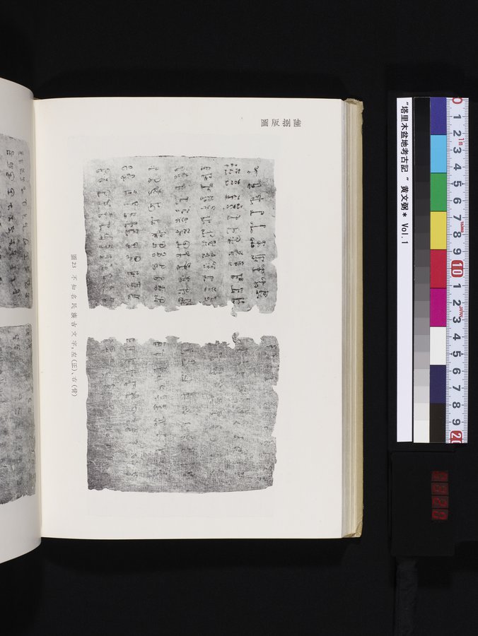 塔里木盆地考古記 : vol.1 / 320 ページ（カラー画像）