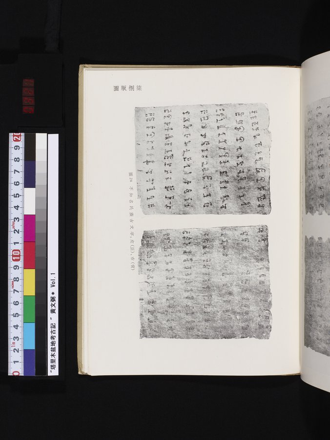 塔里木盆地考古記 : vol.1 / Page 321 (Color Image)