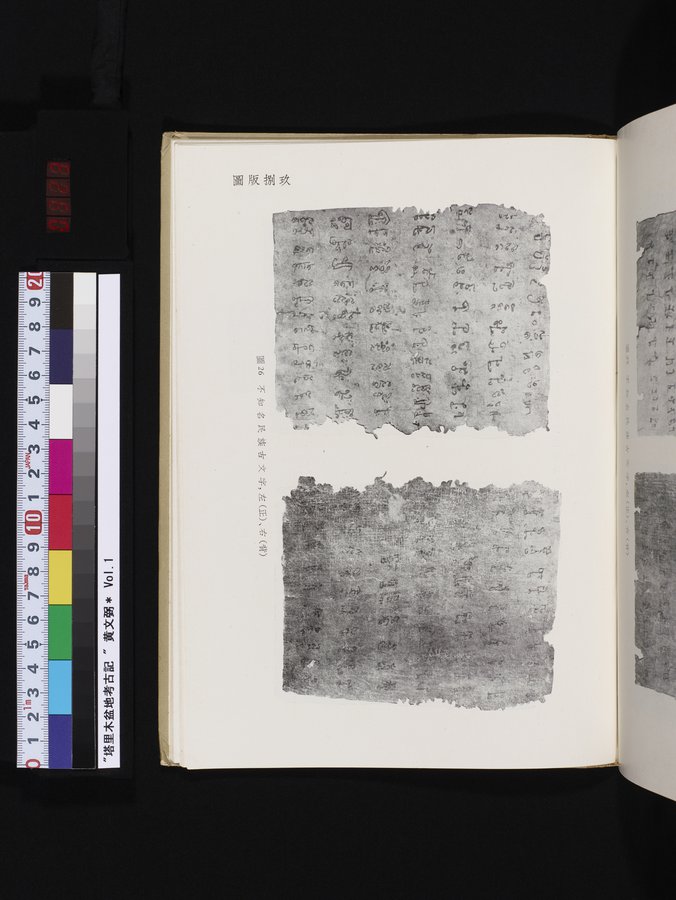 塔里木盆地考古記 : vol.1 / 323 ページ（カラー画像）