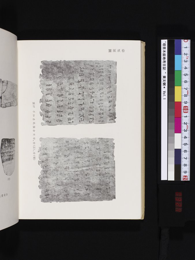 塔里木盆地考古記 : vol.1 / 324 ページ（カラー画像）