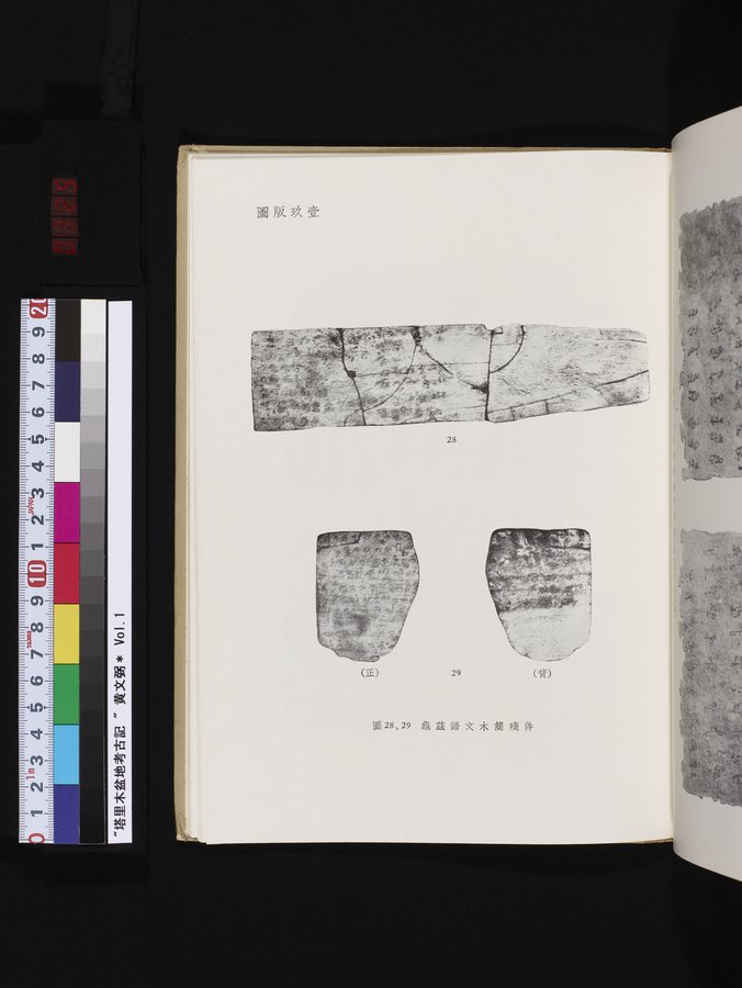 塔里木盆地考古記 : vol.1 / 325 ページ（カラー画像）