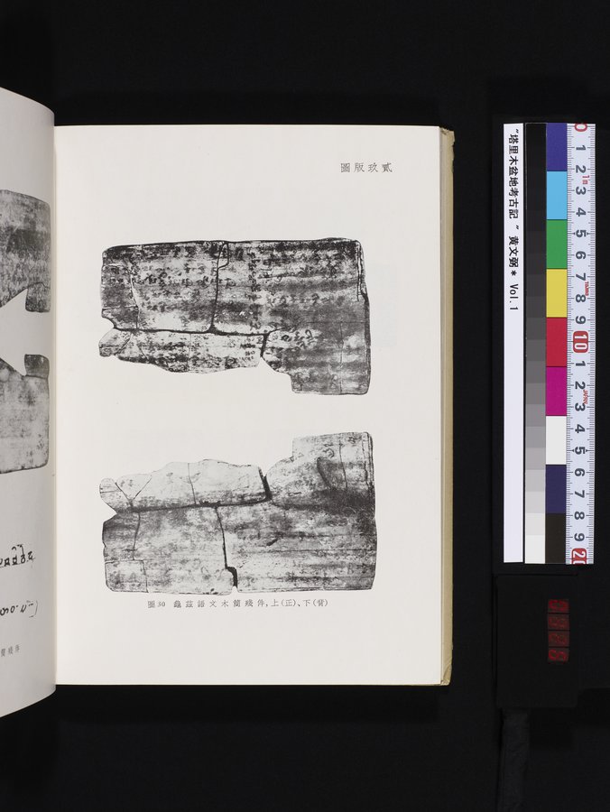 塔里木盆地考古記 : vol.1 / 326 ページ（カラー画像）