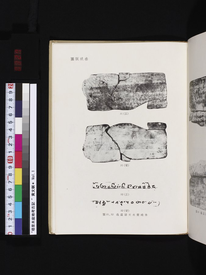 塔里木盆地考古記 : vol.1 / 327 ページ（カラー画像）