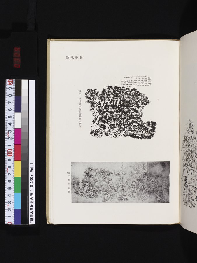 塔里木盆地考古記 : vol.1 / 329 ページ（カラー画像）