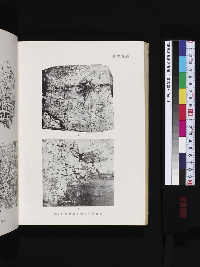 塔里木盆地考古記 : vol.1 / Page 330 (Color Image)