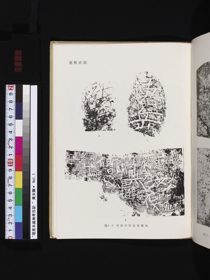 塔里木盆地考古記 : vol.1 / 331 ページ（カラー画像）