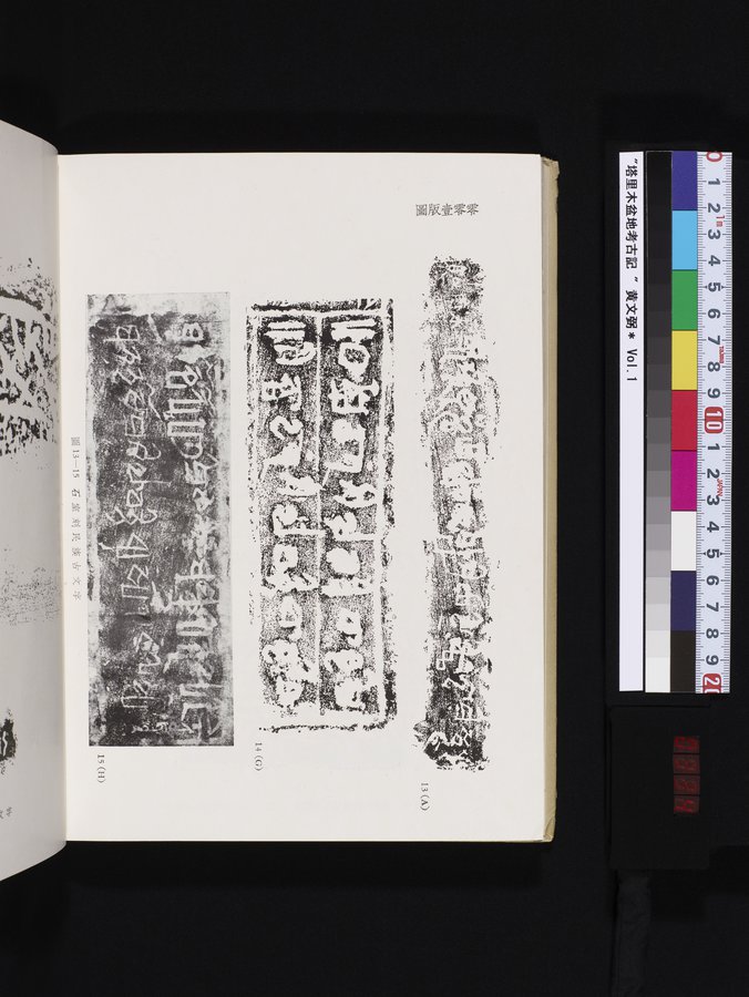 塔里木盆地考古記 : vol.1 / 334 ページ（カラー画像）