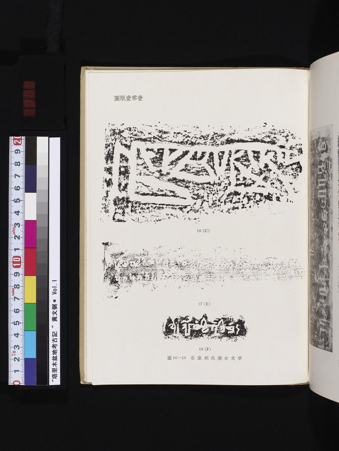 塔里木盆地考古記 : vol.1 / Page 335 (Color Image)