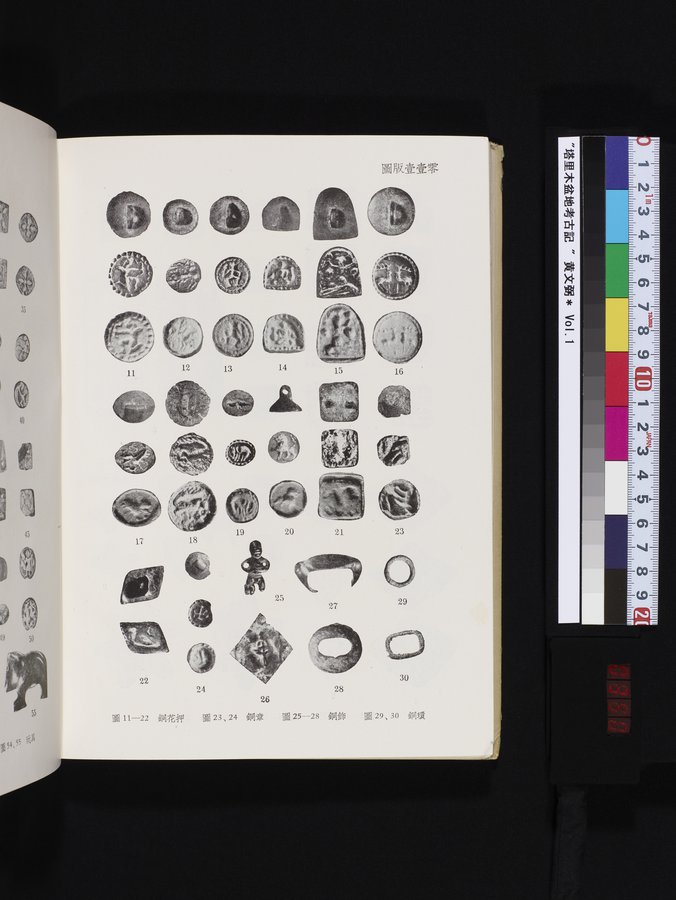 塔里木盆地考古記 : vol.1 / 350 ページ（カラー画像）