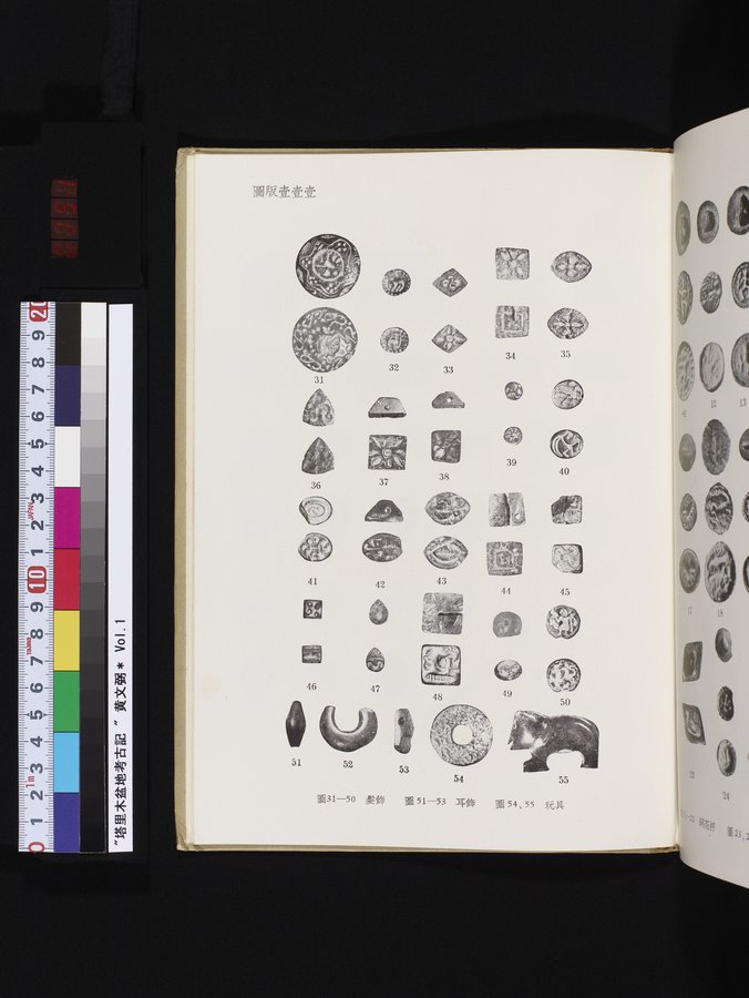 塔里木盆地考古記 : vol.1 / Page 351 (Color Image)