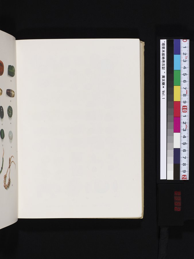 塔里木盆地考古記 : vol.1 / 352 ページ（カラー画像）