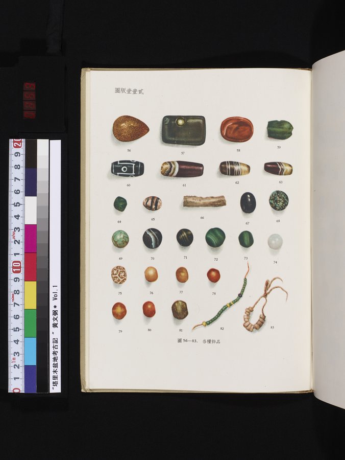 塔里木盆地考古記 : vol.1 / 353 ページ（カラー画像）