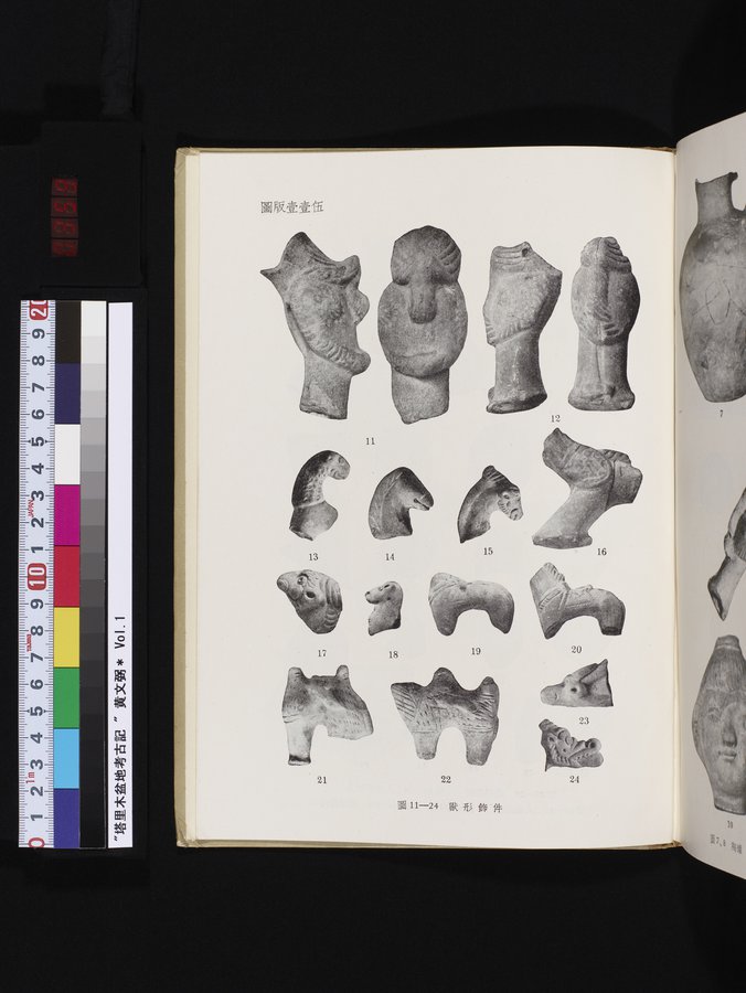 塔里木盆地考古記 : vol.1 / 359 ページ（カラー画像）