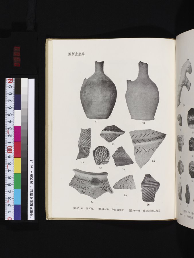 塔里木盆地考古記 : vol.1 / 361 ページ（カラー画像）