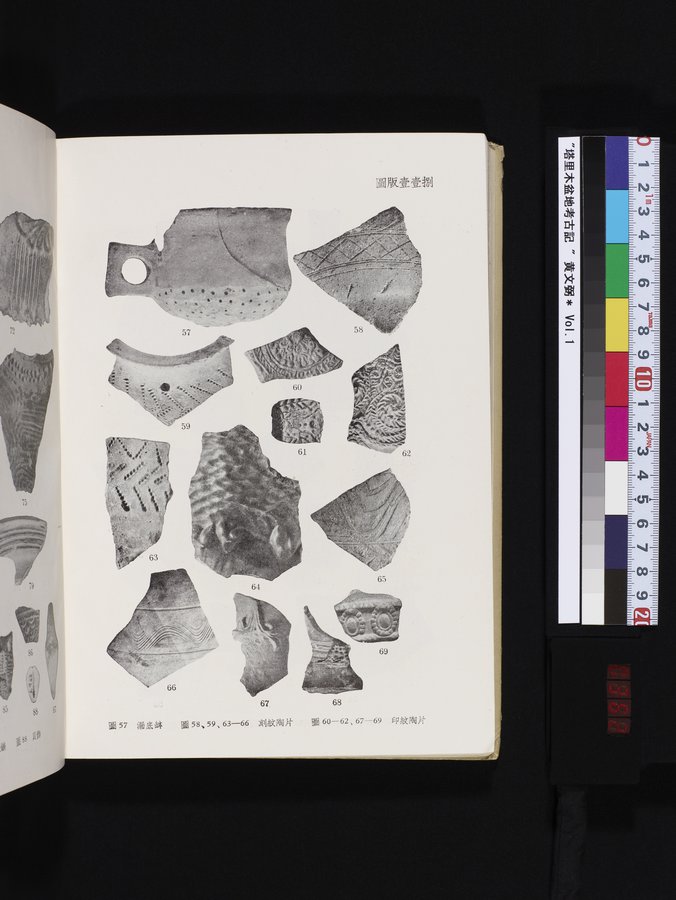 塔里木盆地考古記 : vol.1 / 362 ページ（カラー画像）