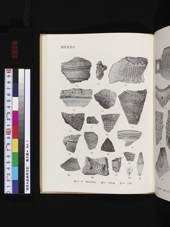 塔里木盆地考古記 : vol.1 / 363 ページ（カラー画像）