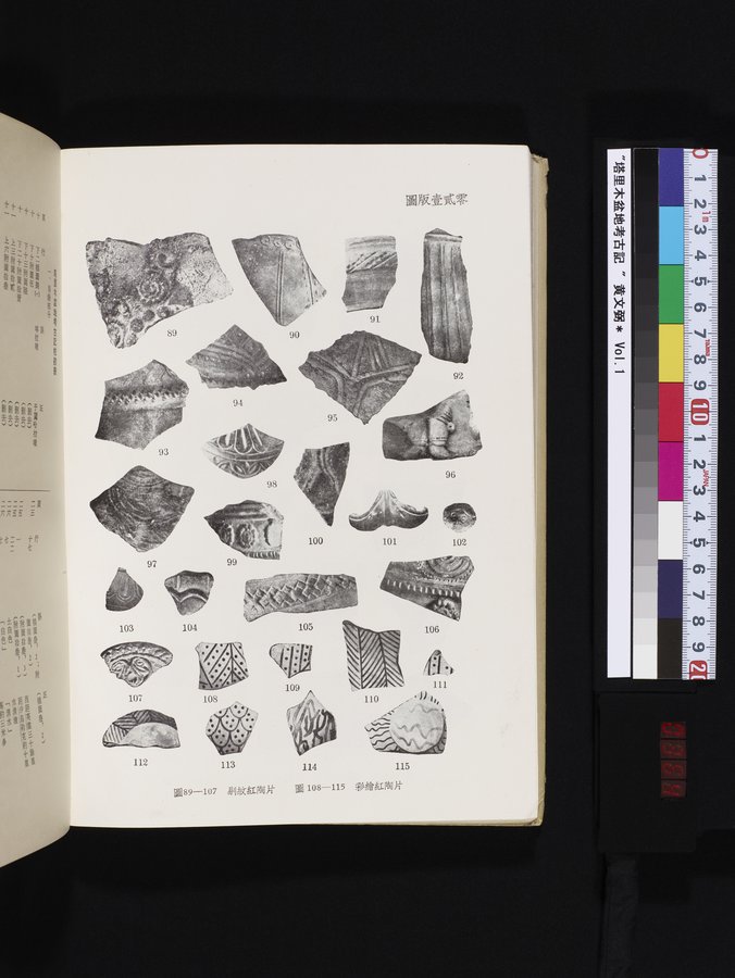 塔里木盆地考古記 : vol.1 / 364 ページ（カラー画像）