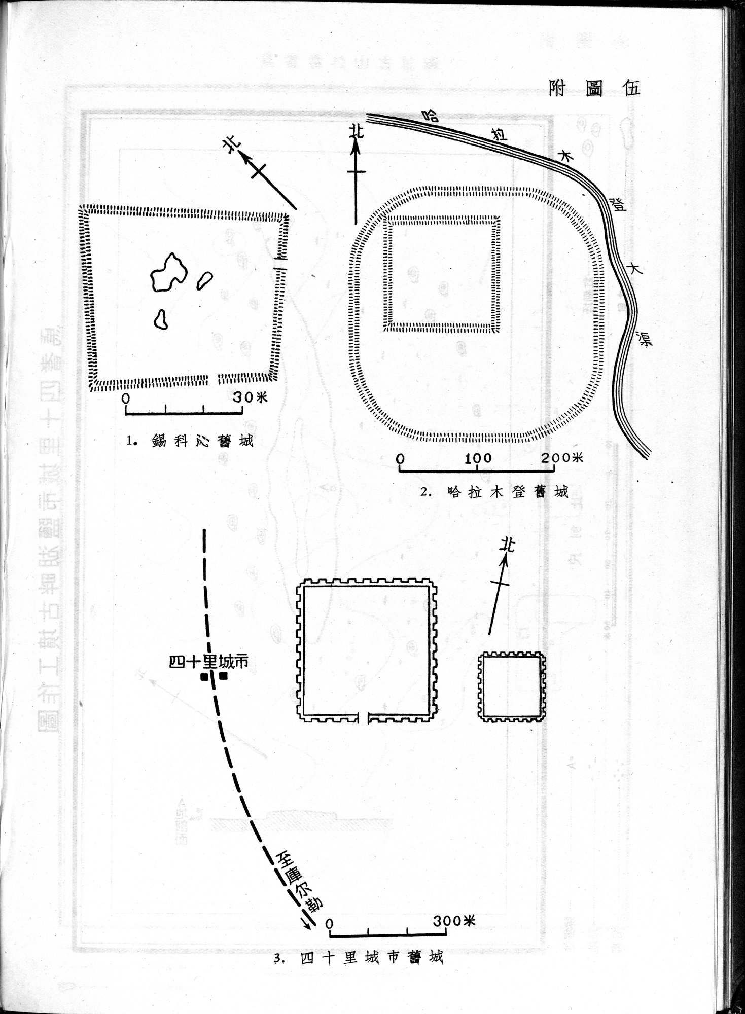 塔里木盆地考古記 : vol.1 / Page 110 (Grayscale High Resolution Image)