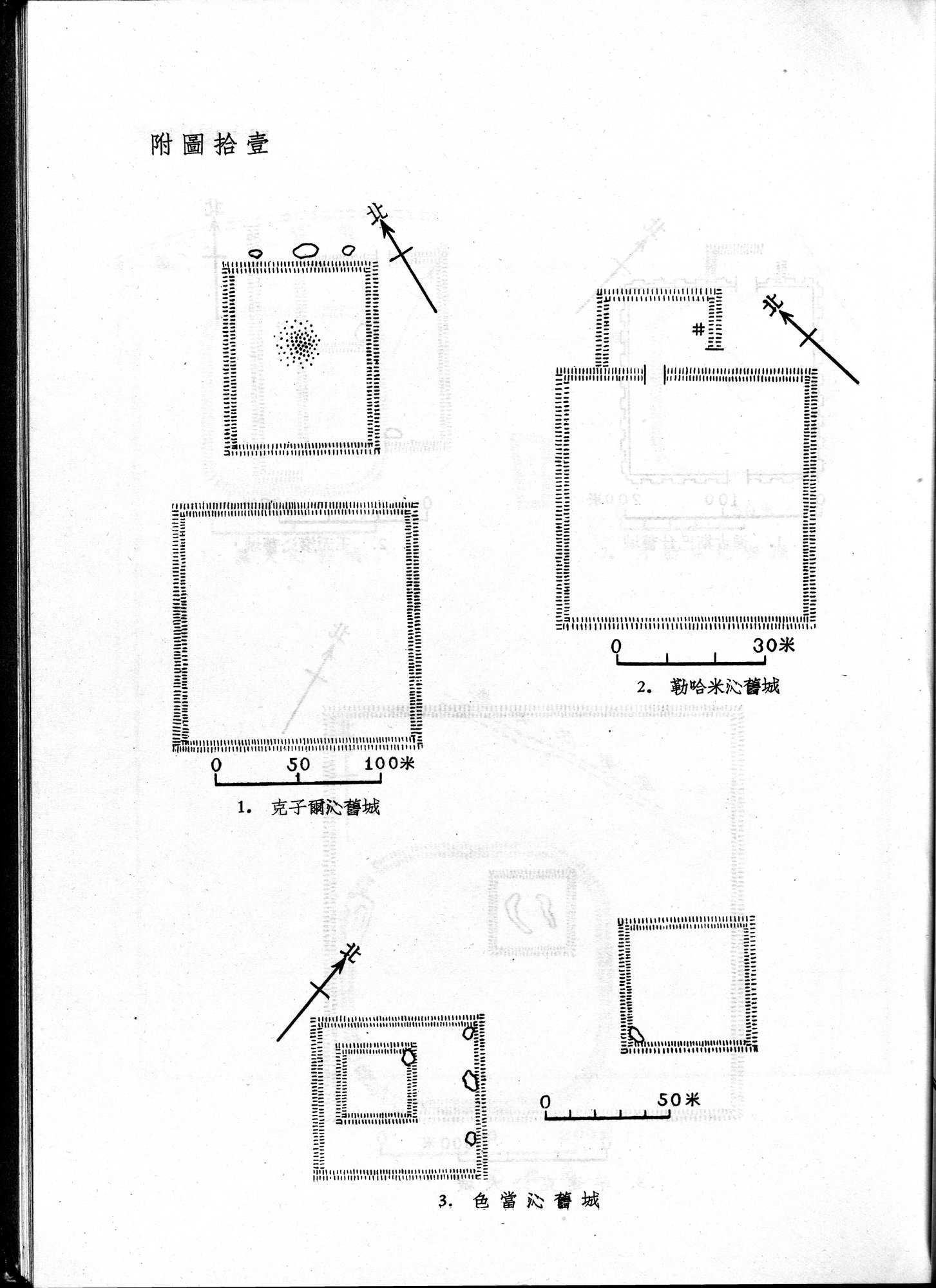 塔里木盆地考古記 : vol.1 / 117 ページ（白黒高解像度画像）