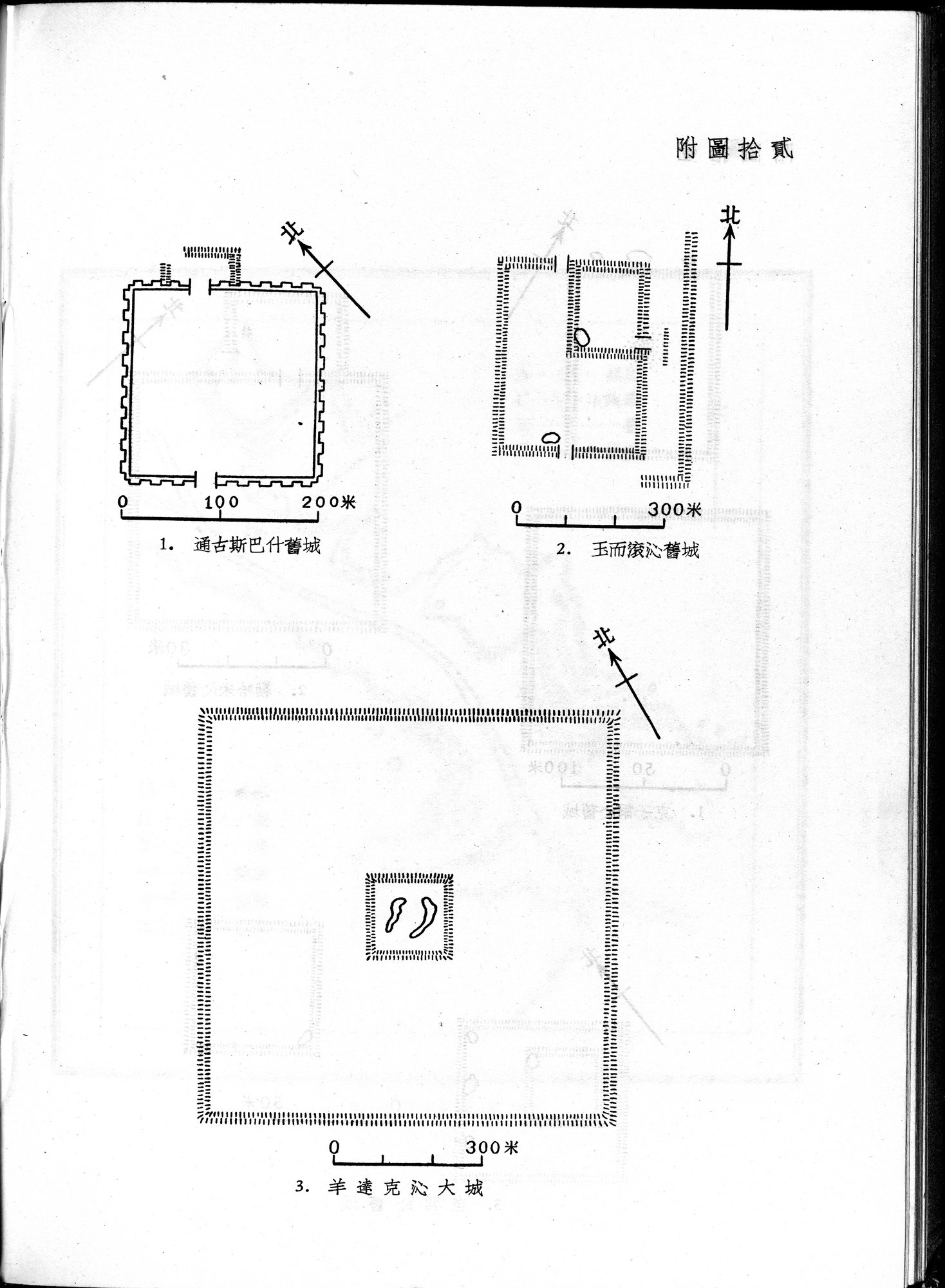 塔里木盆地考古記 : vol.1 / 118 ページ（白黒高解像度画像）