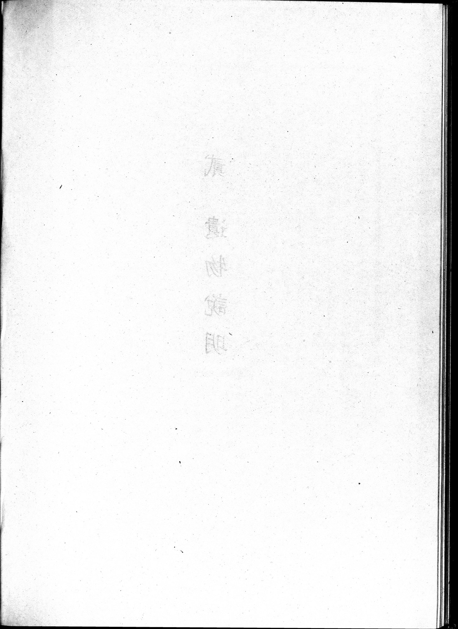 塔里木盆地考古記 : vol.1 / 128 ページ（白黒高解像度画像）