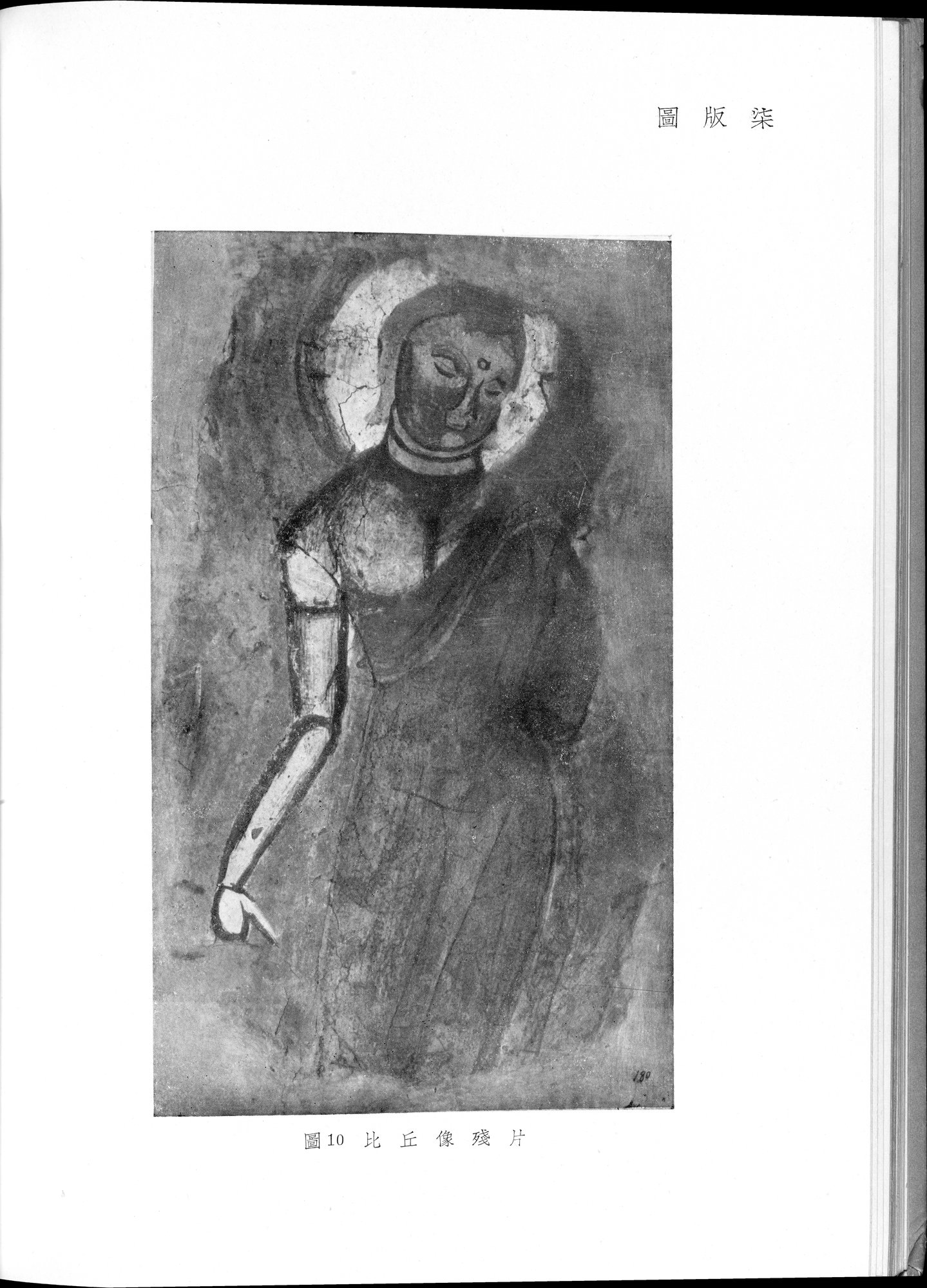 塔里木盆地考古記 : vol.1 / 216 ページ（白黒高解像度画像）