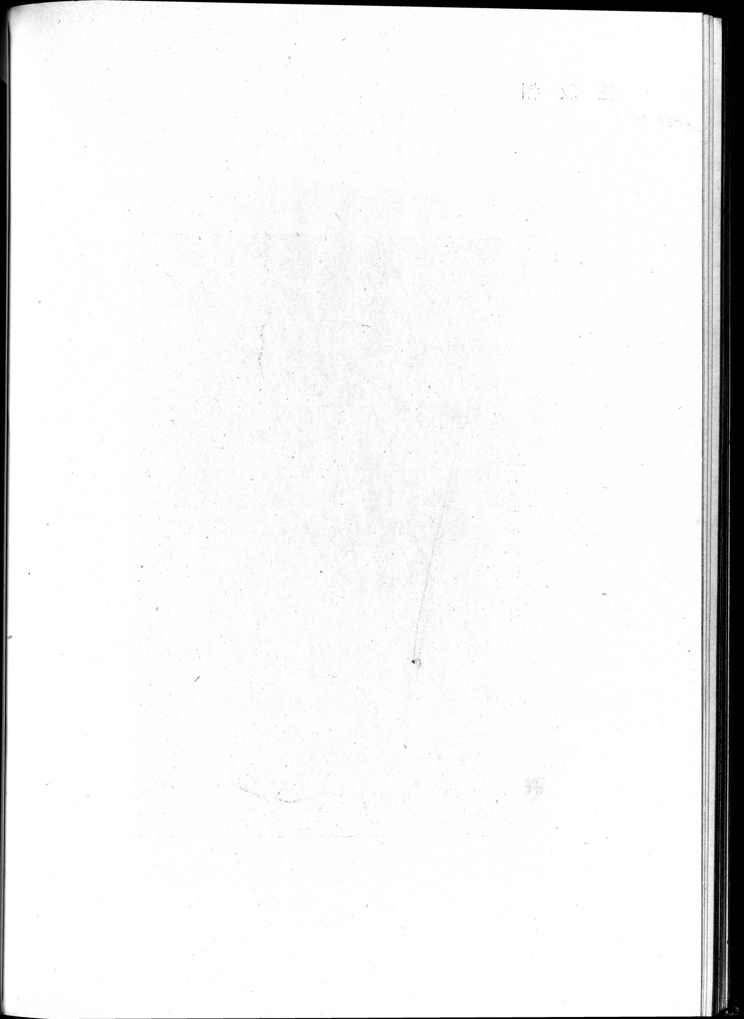 塔里木盆地考古記 : vol.1 / 218 ページ（白黒高解像度画像）