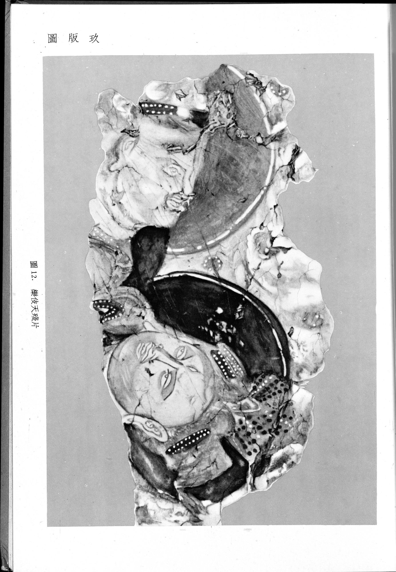 塔里木盆地考古記 : vol.1 / 219 ページ（白黒高解像度画像）