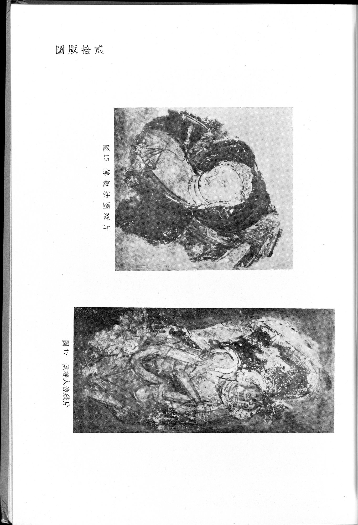 塔里木盆地考古記 : vol.1 / Page 223 (Grayscale High Resolution Image)