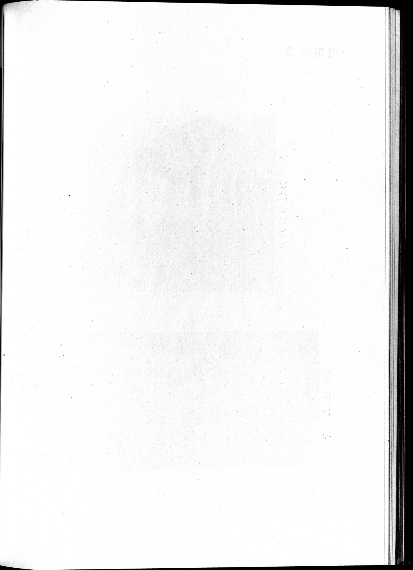 塔里木盆地考古記 : vol.1 / Page 224 (Grayscale High Resolution Image)