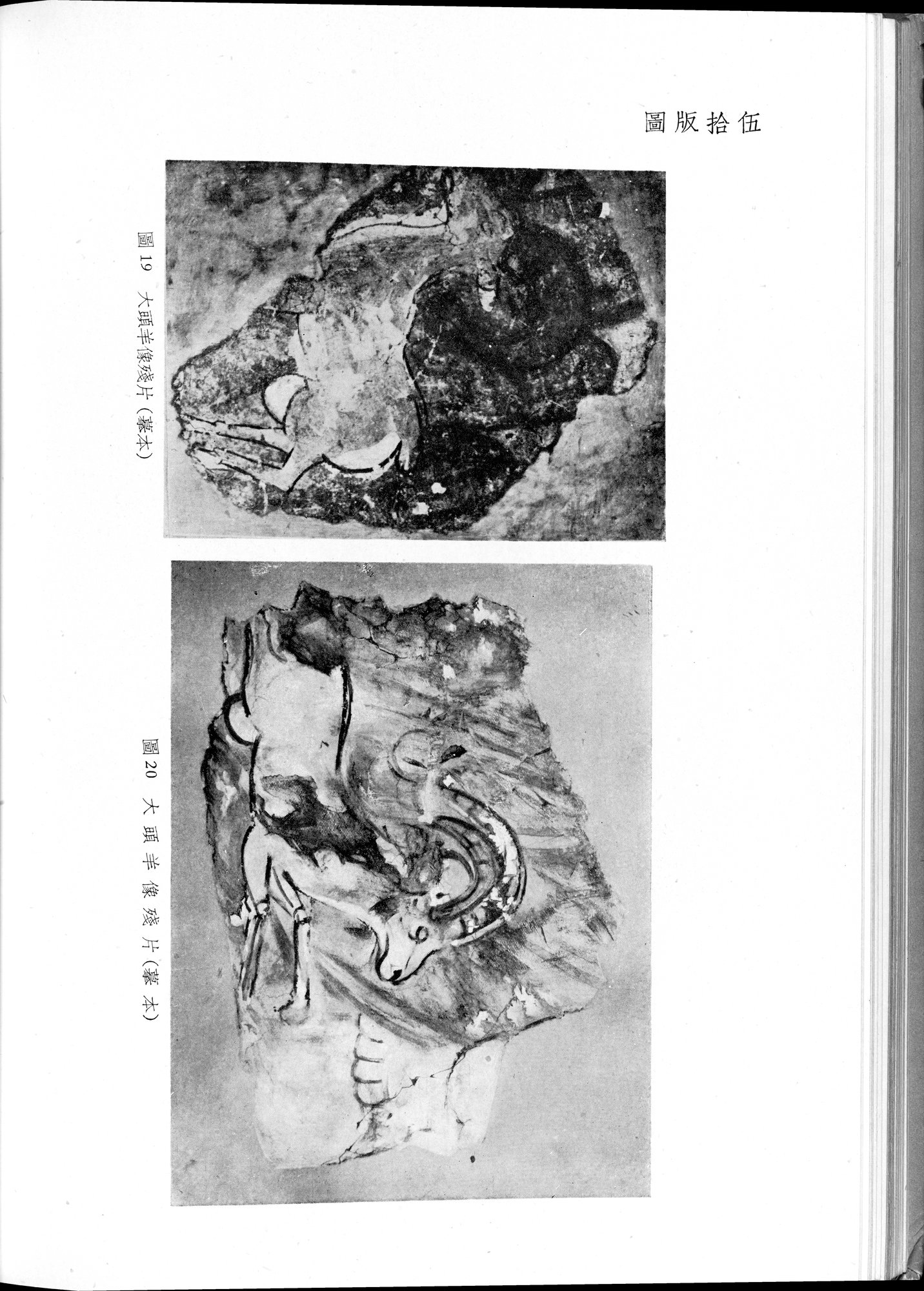 塔里木盆地考古記 : vol.1 / 228 ページ（白黒高解像度画像）