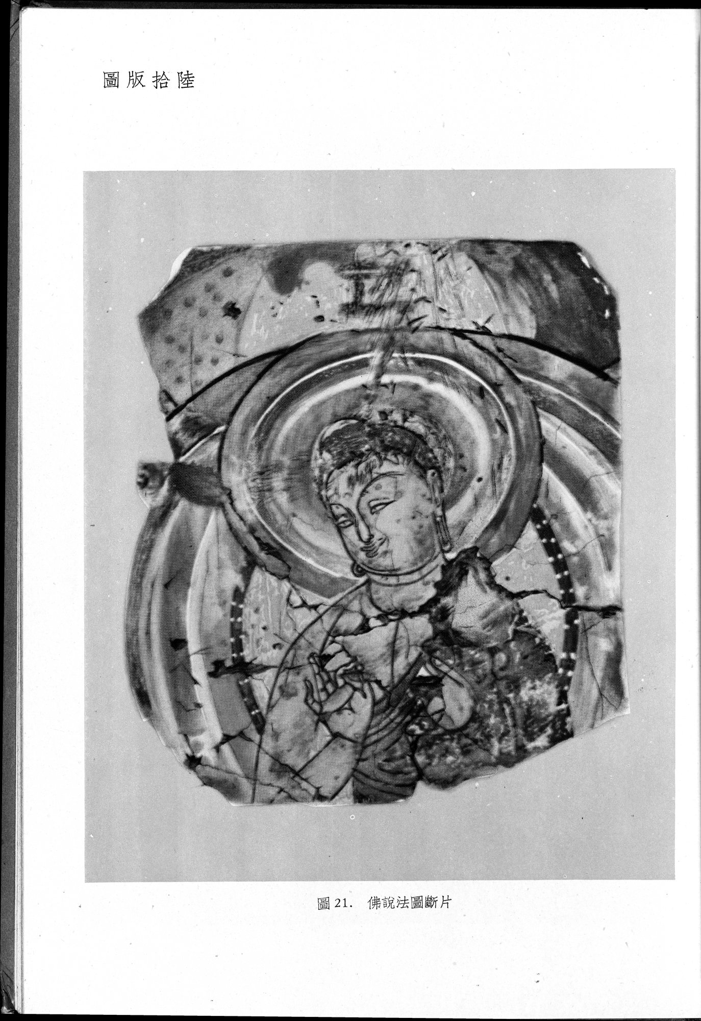 塔里木盆地考古記 : vol.1 / 229 ページ（白黒高解像度画像）