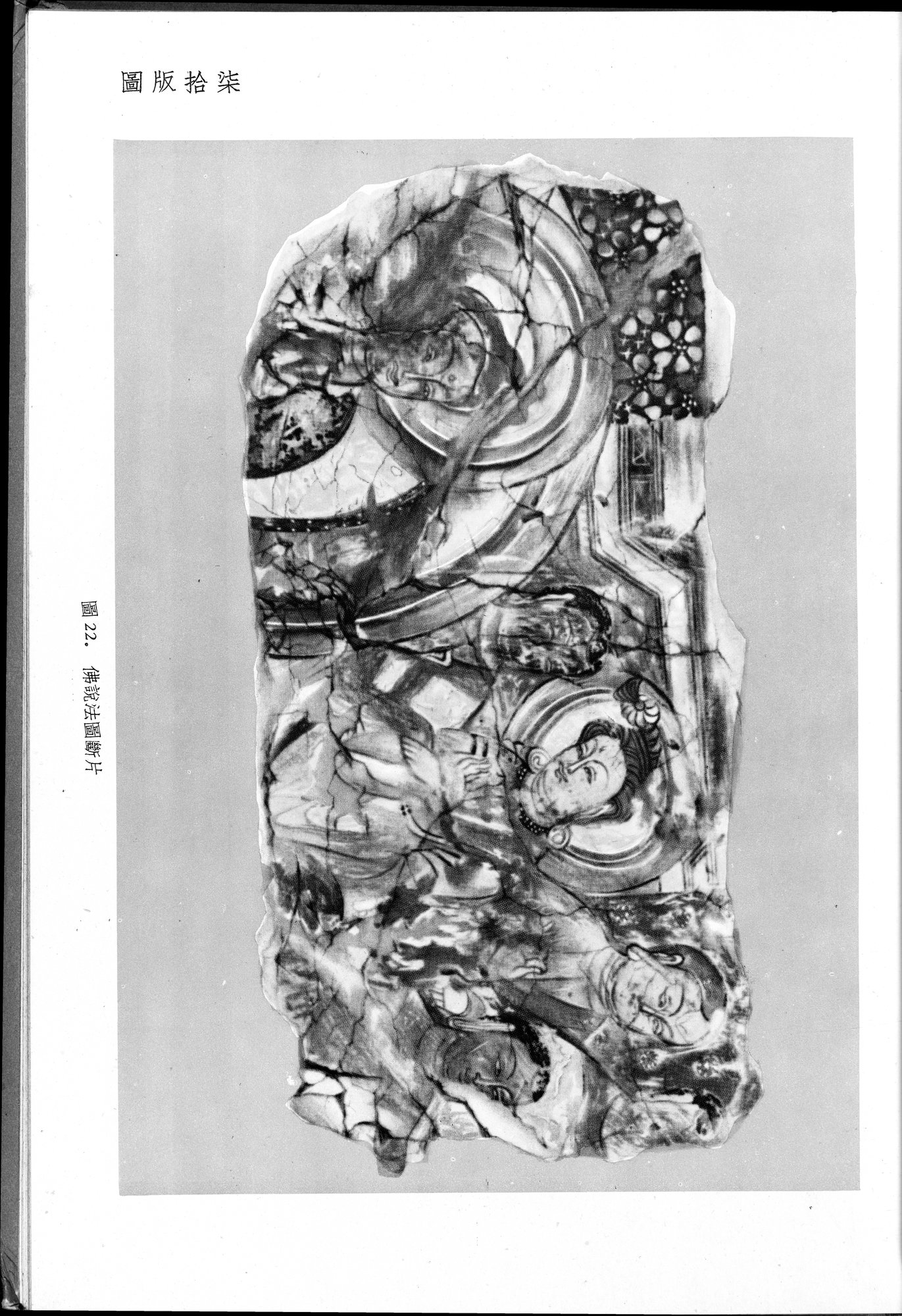 塔里木盆地考古記 : vol.1 / 231 ページ（白黒高解像度画像）