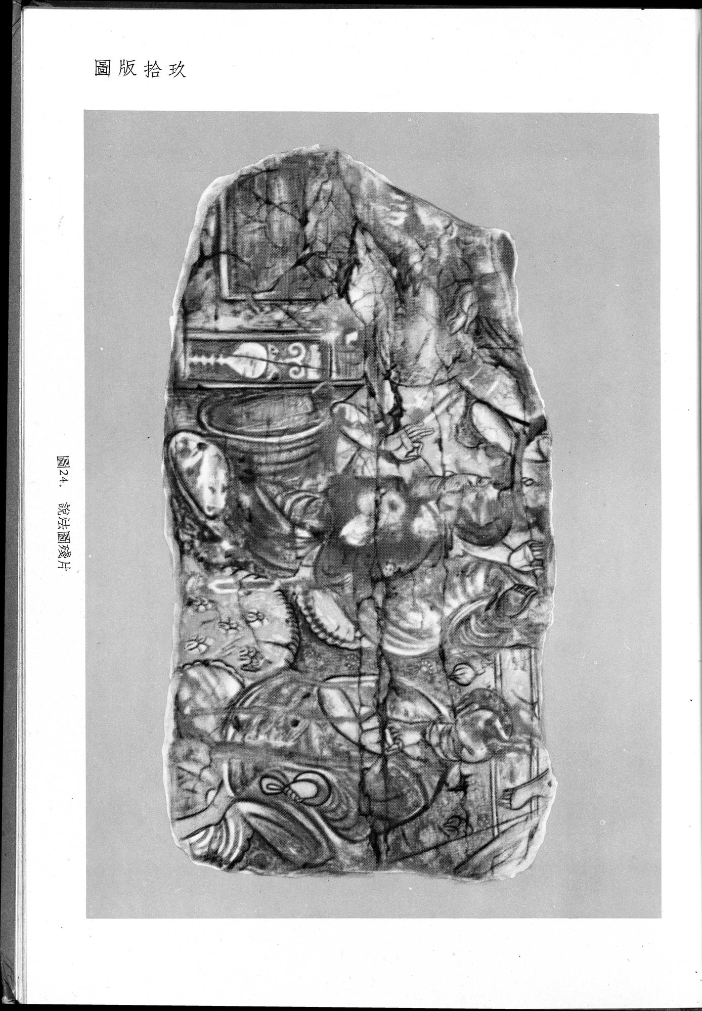 塔里木盆地考古記 : vol.1 / 235 ページ（白黒高解像度画像）