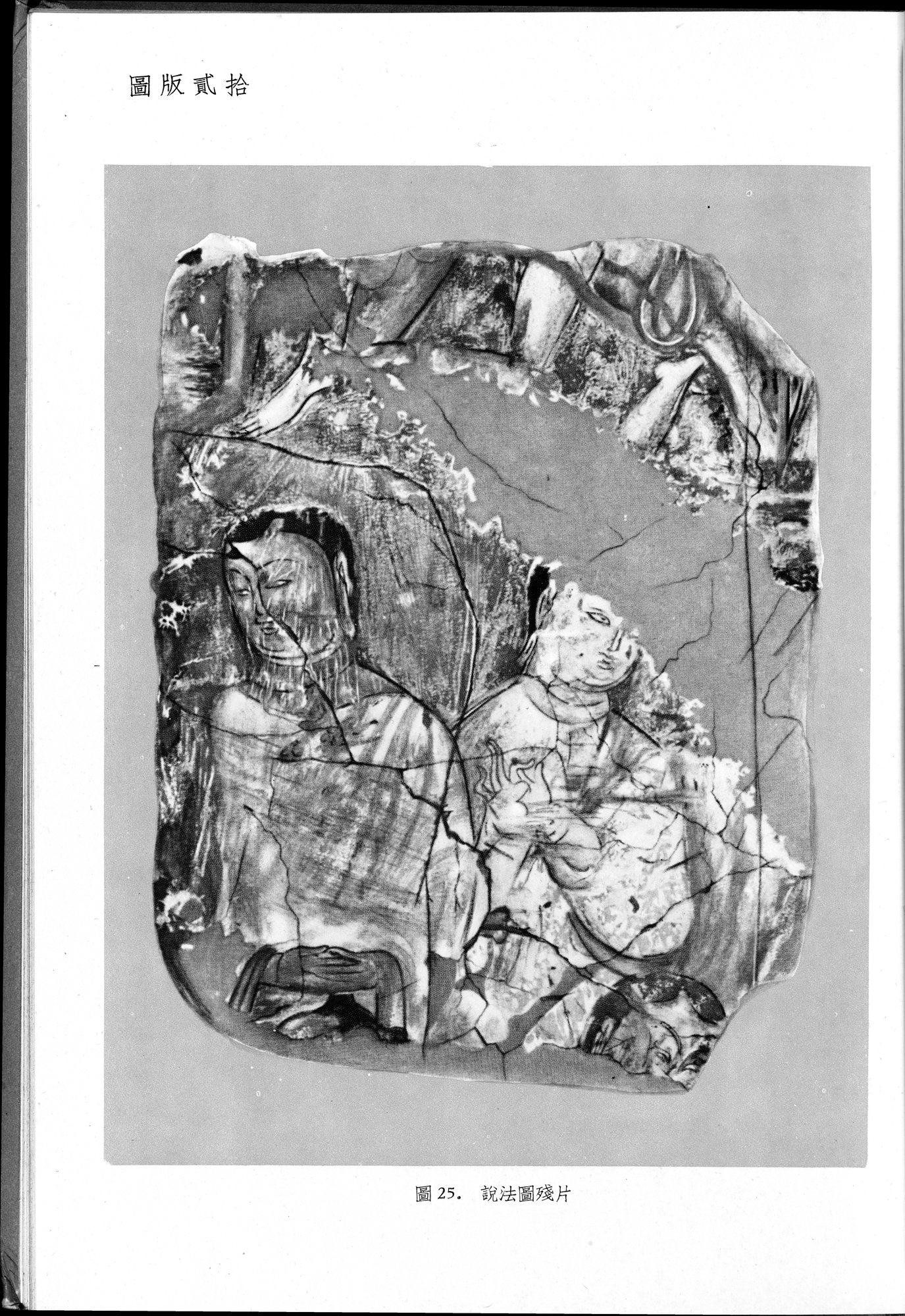 塔里木盆地考古記 : vol.1 / 237 ページ（白黒高解像度画像）
