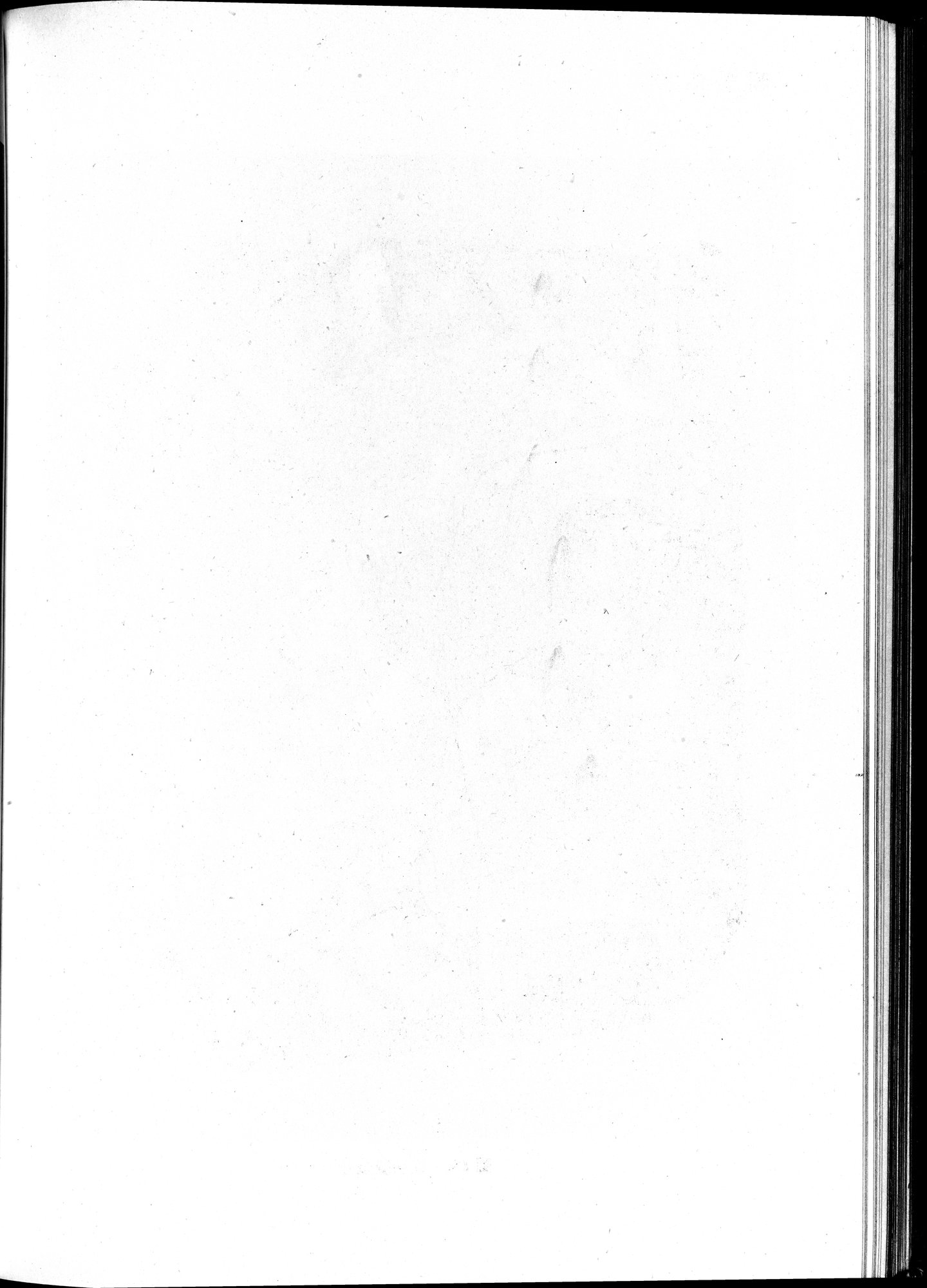 塔里木盆地考古記 : vol.1 / 238 ページ（白黒高解像度画像）