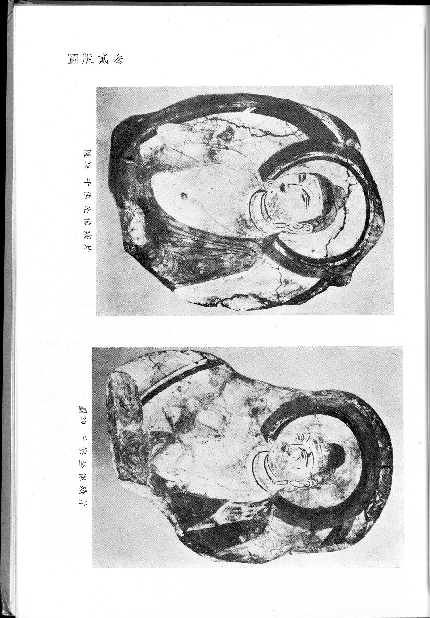 塔里木盆地考古記 : vol.1 / 243 ページ（白黒高解像度画像）