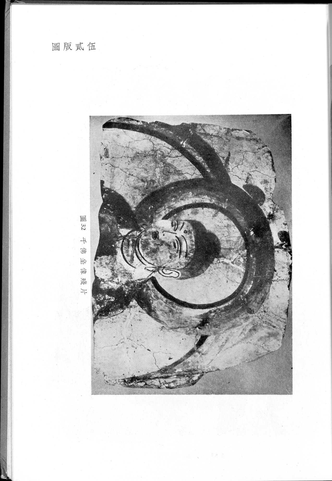 塔里木盆地考古記 : vol.1 / Page 245 (Grayscale High Resolution Image)