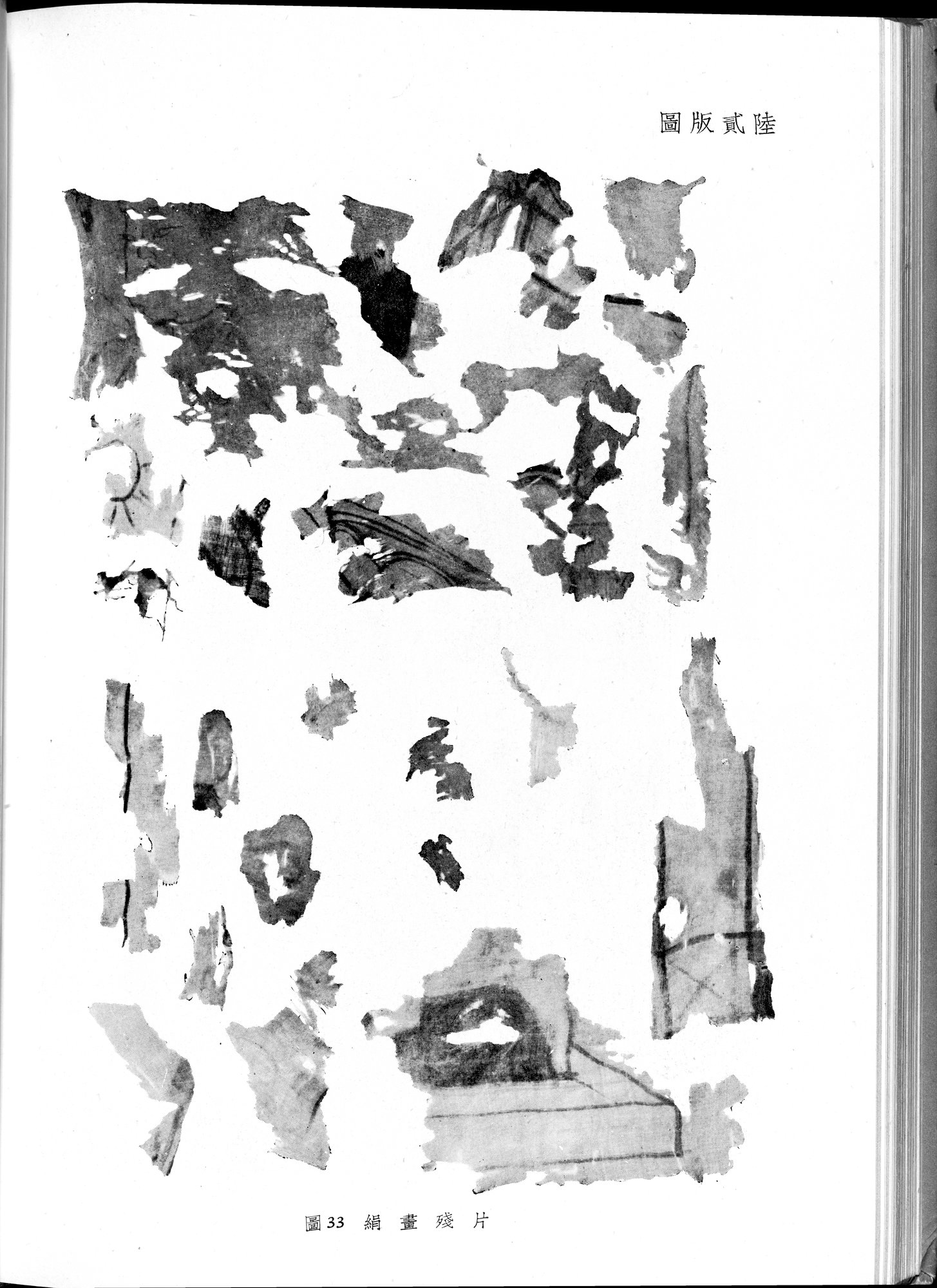 塔里木盆地考古記 : vol.1 / 246 ページ（白黒高解像度画像）