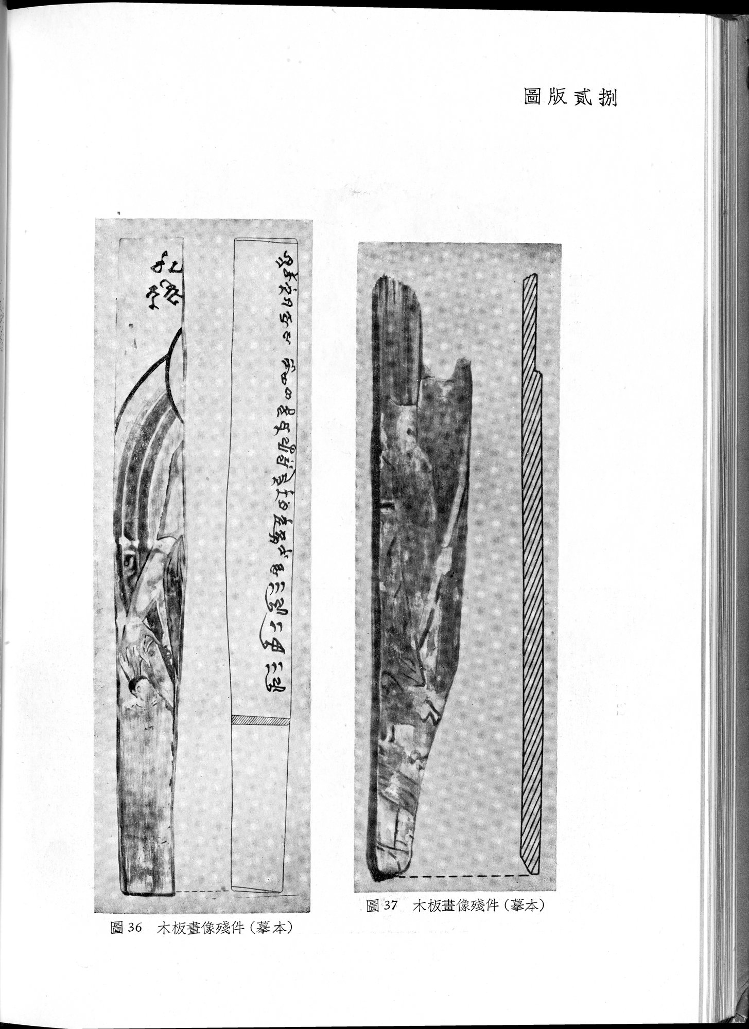 塔里木盆地考古記 : vol.1 / Page 248 (Grayscale High Resolution Image)