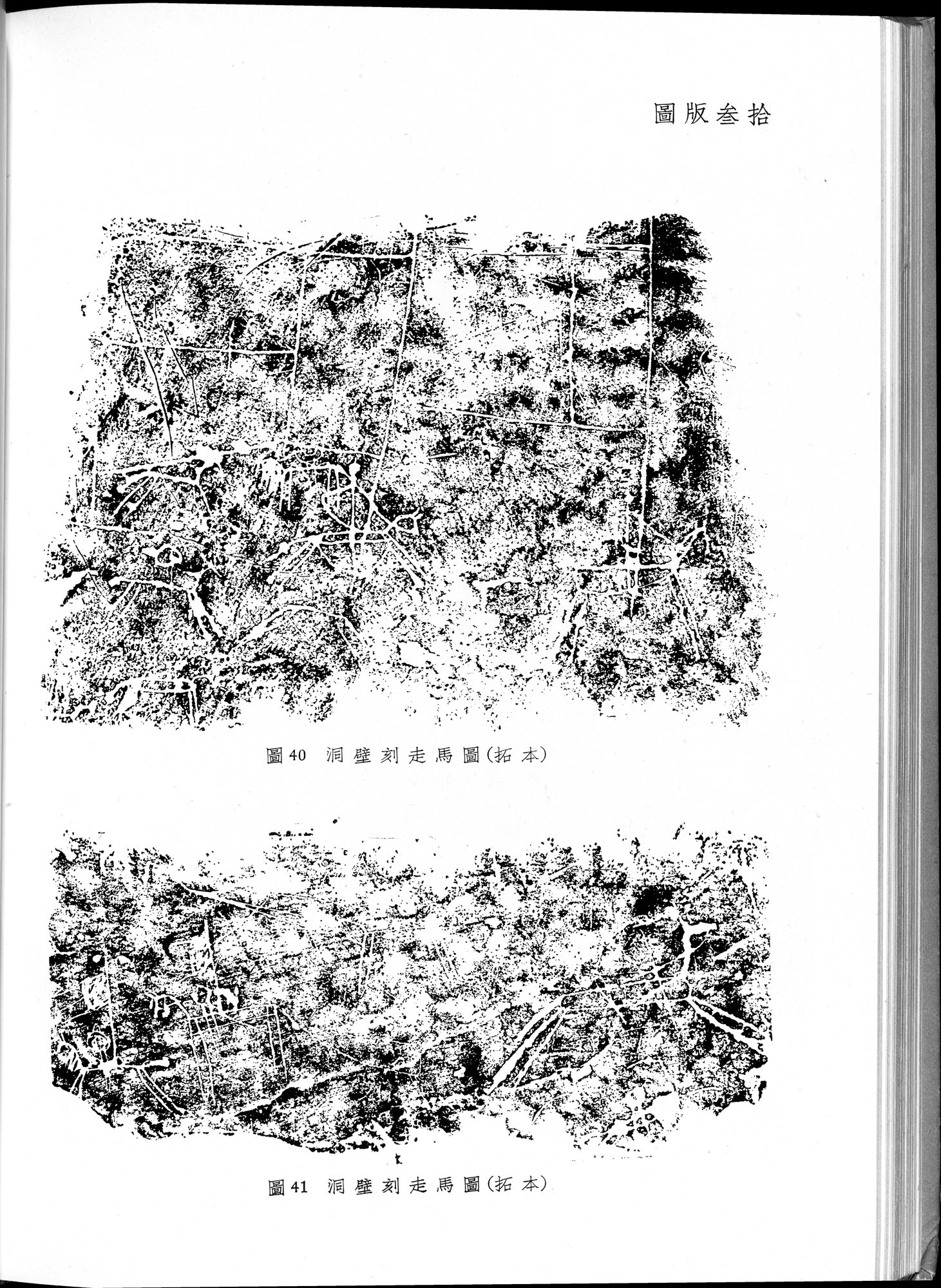 塔里木盆地考古記 : vol.1 / 250 ページ（白黒高解像度画像）