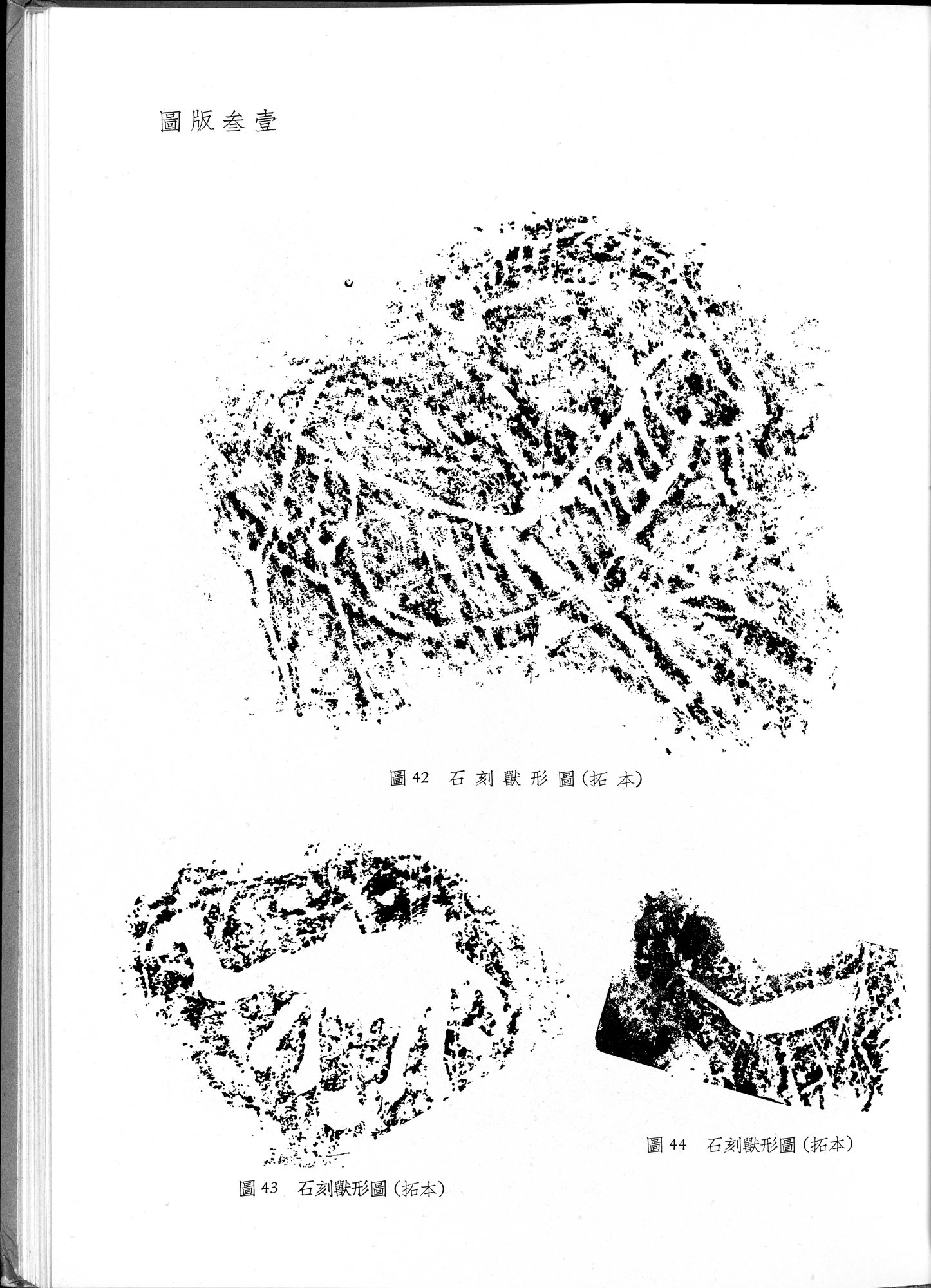 塔里木盆地考古記 : vol.1 / 251 ページ（白黒高解像度画像）