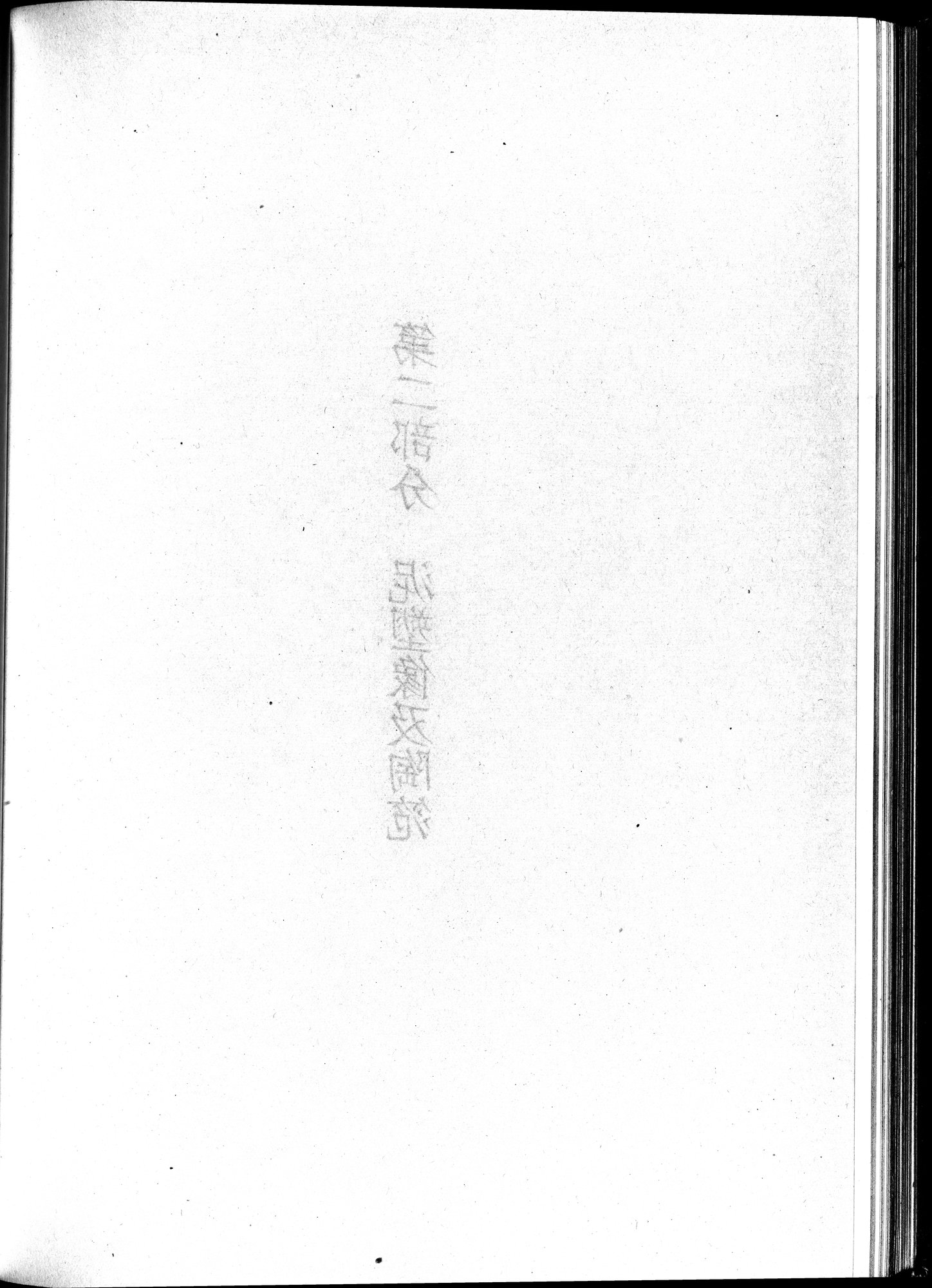 塔里木盆地考古記 : vol.1 / Page 254 (Grayscale High Resolution Image)