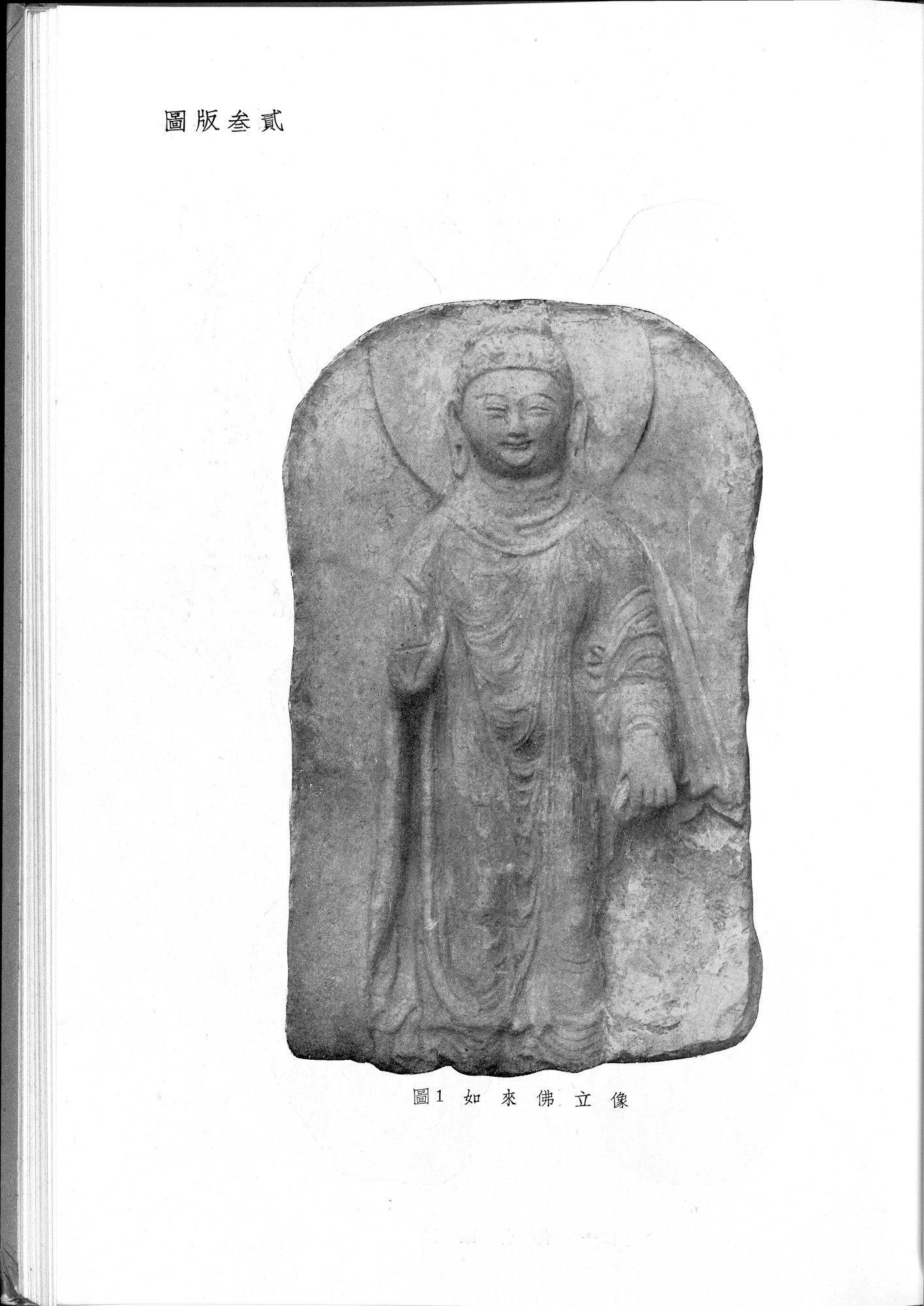 塔里木盆地考古記 : vol.1 / 255 ページ（白黒高解像度画像）
