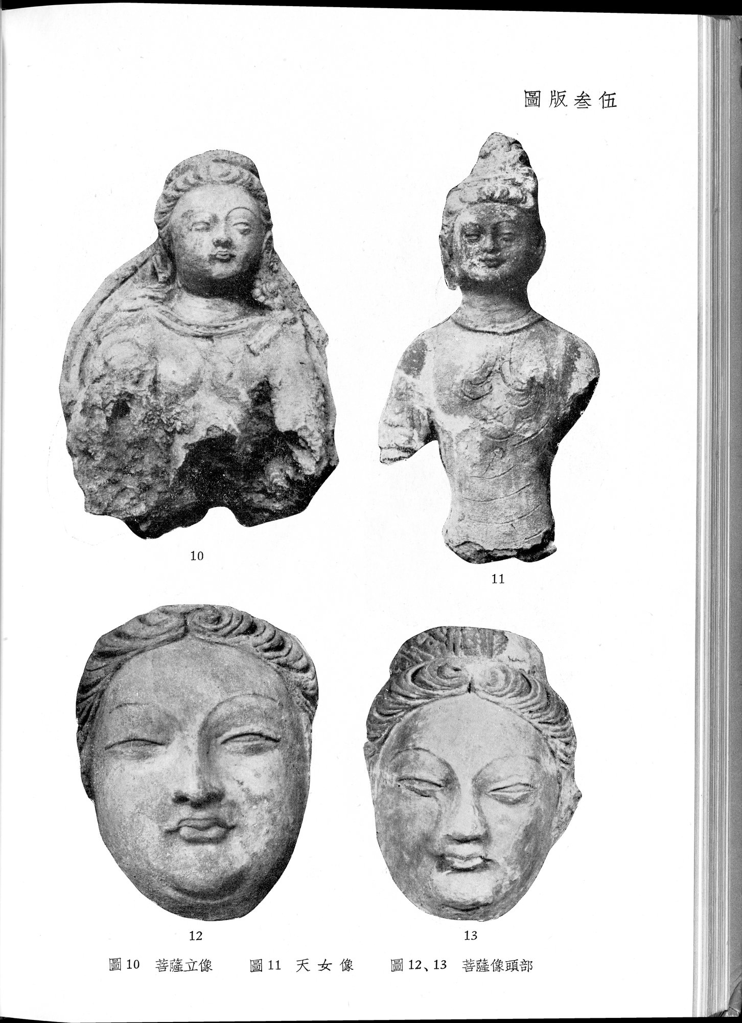 塔里木盆地考古記 : vol.1 / 258 ページ（白黒高解像度画像）