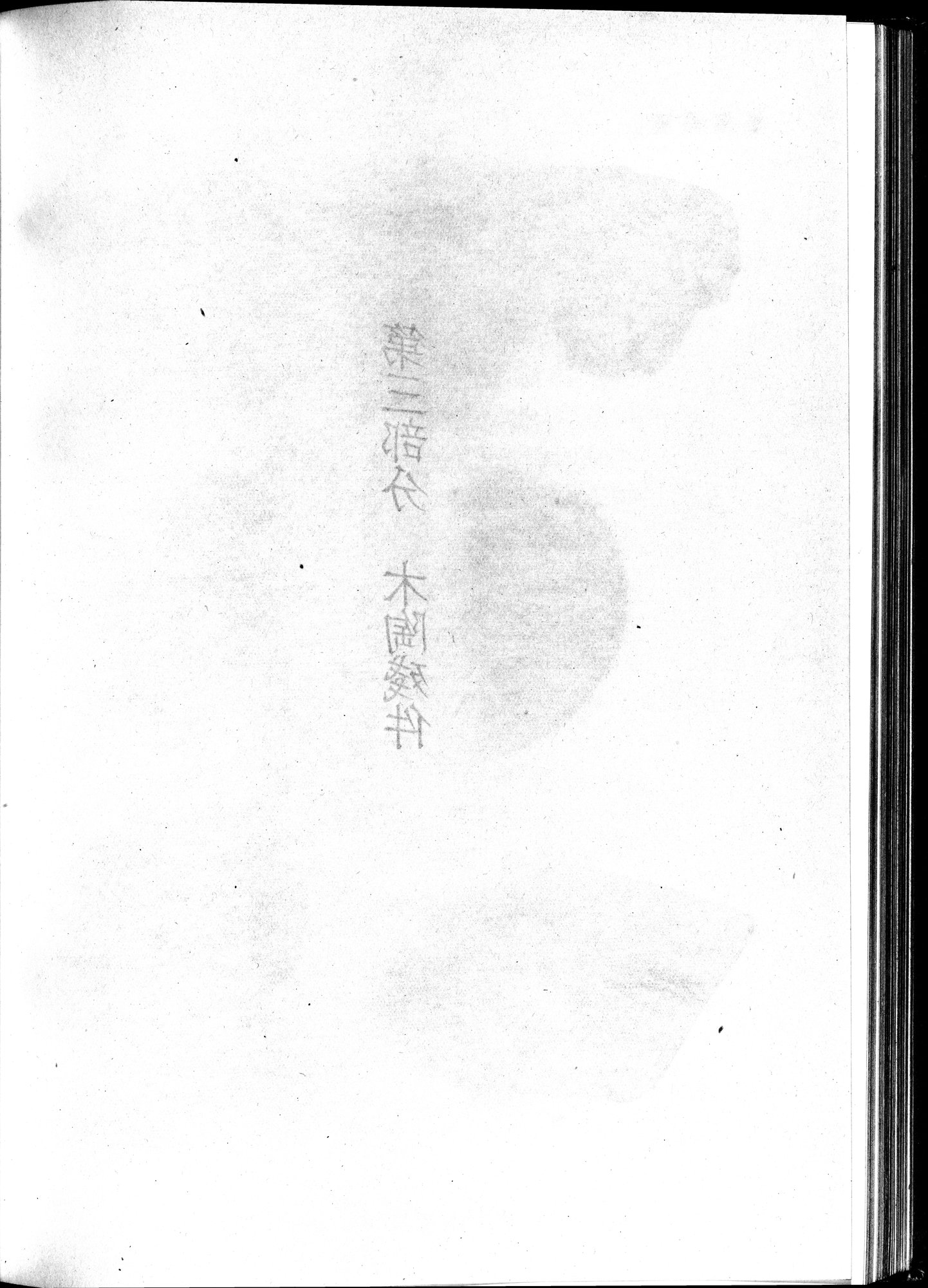 塔里木盆地考古記 : vol.1 / Page 272 (Grayscale High Resolution Image)